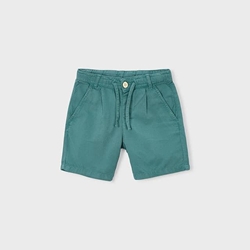 Bermuda alga - Imagen 2