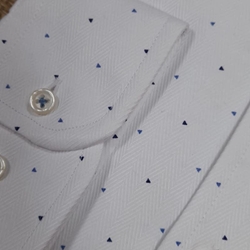 Camisa manga larga taylor azul - Imagen 2