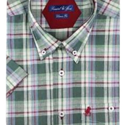 Camisa verde - Imagen 1