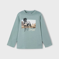 Camiseta caballo glaciar - Imagen 1
