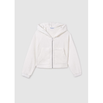 Canguro crudo - Imagen 1