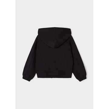 Canguro negro - Imagen 2