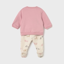 Conjunto orquídea - Imagen 2