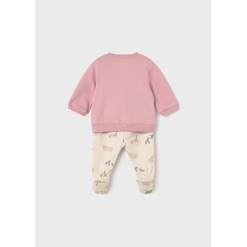 Conjunto orquídea - Imagen 2