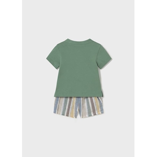 Conjunto pantalón y polo brócoli - Imagen 2