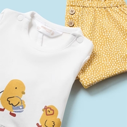 Conjunto punto corto maíz - Imagen 1