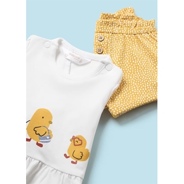 Conjunto punto corto maíz - Imagen 1