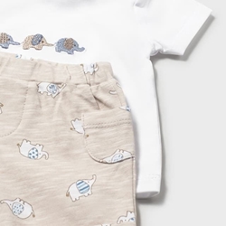 Conjunto punto marea - Imagen 1