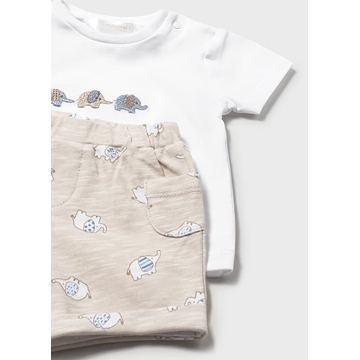 Conjunto punto marea - Imagen 1