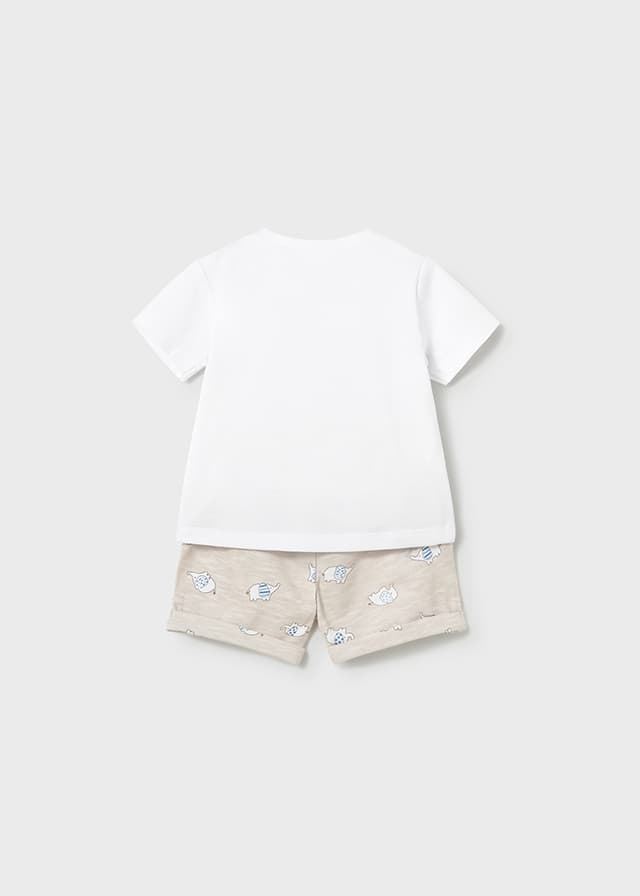 Conjunto punto marea - Imagen 2