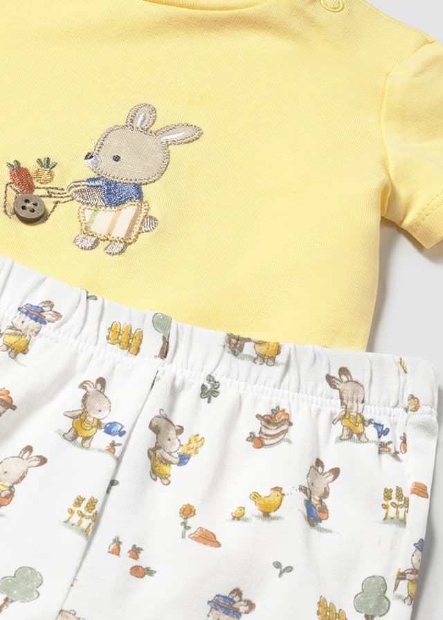 Conjunto punto sunny - Imagen 1