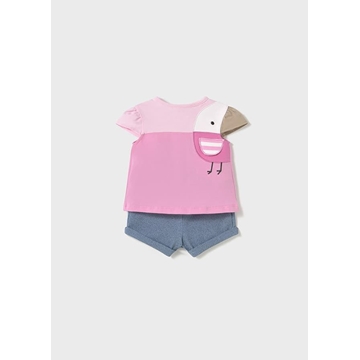 Conjunto punto tulipán - Imagen 1