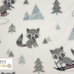 Coralina Mapache Pumpkin Diversión en la Nieve - Imagen 1