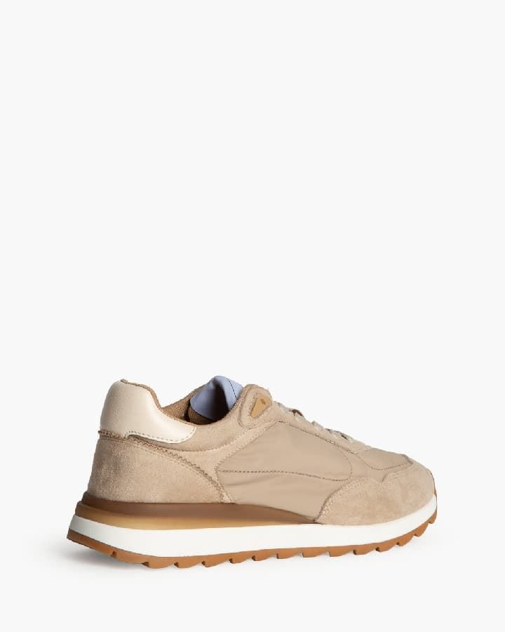 Deportivo arena - Imagen 3