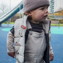 Peto sarga chai - Imagen 1