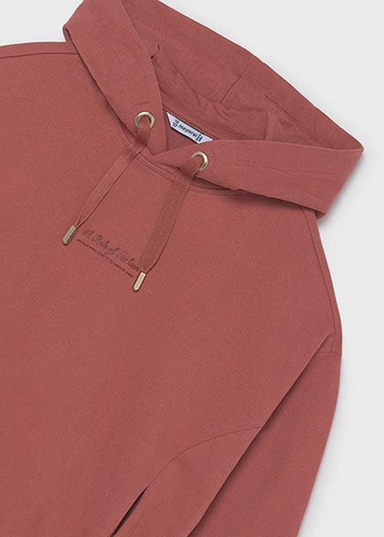 Sudadera felpa teja - Imagen 5