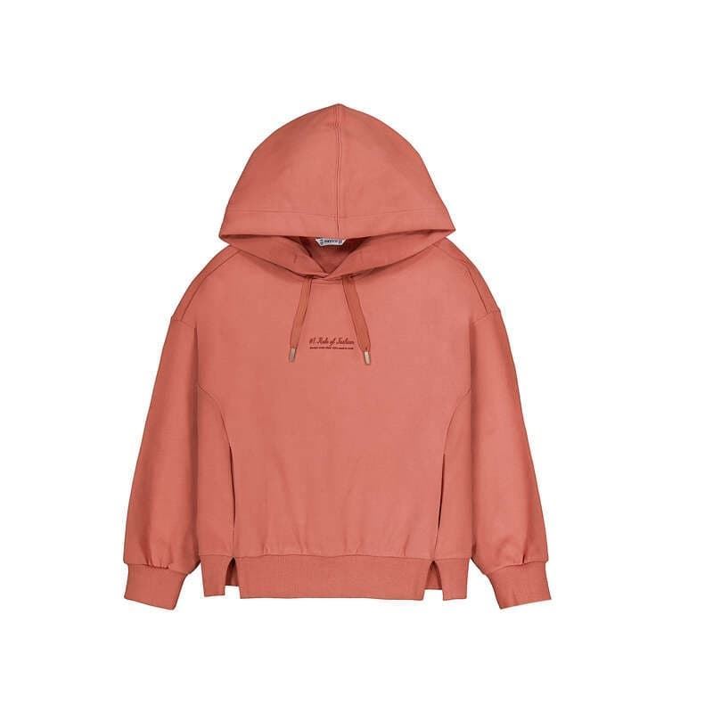 Sudadera felpa teja - Imagen 6