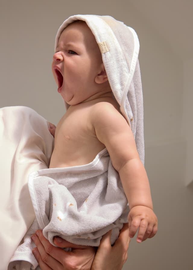 Toalla plata - Imagen 1