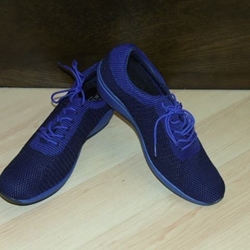 Zapato deportivo azulón - Imagen 1